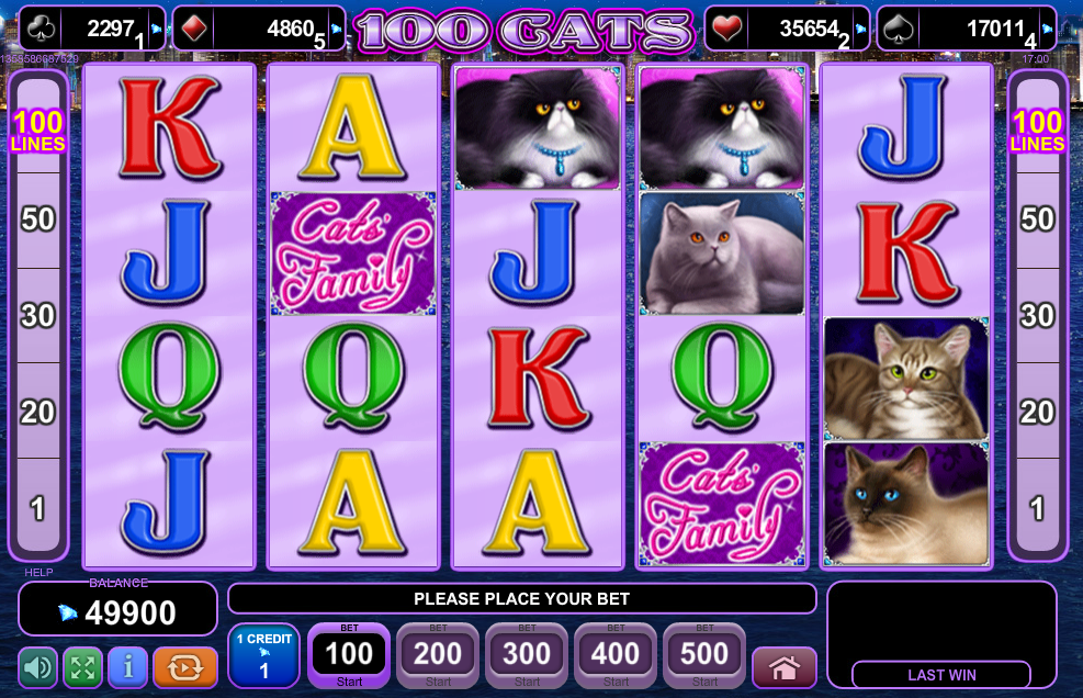 100 Cats