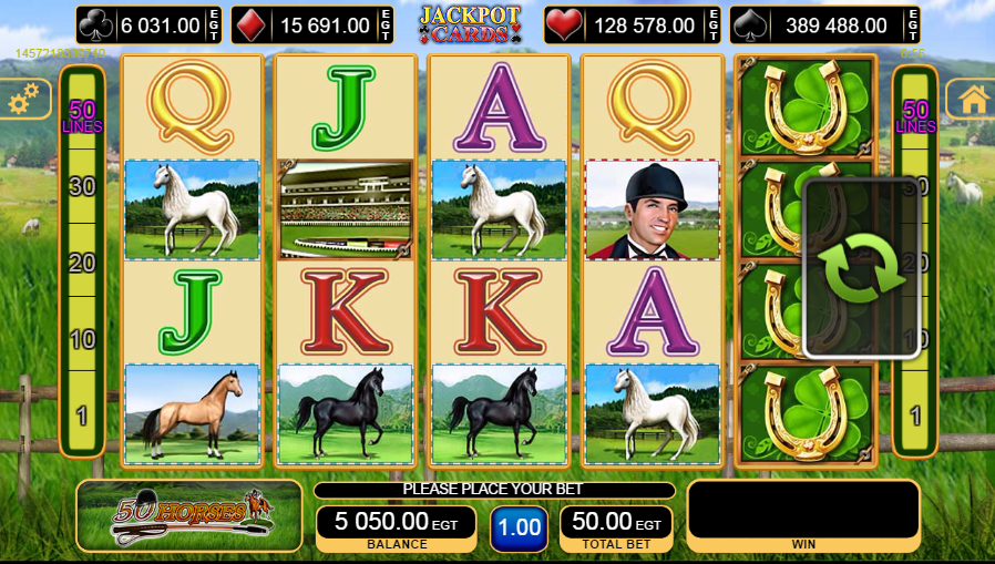 50 Horses