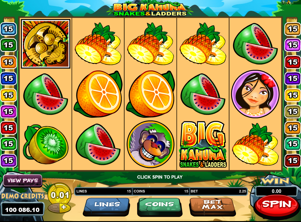 Big Kahuna Snakes And Ladders