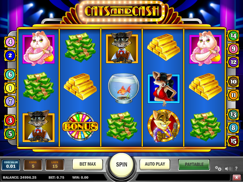 Cats And Cash