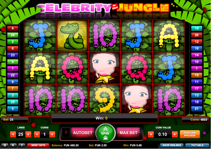 Celebrity Jungle