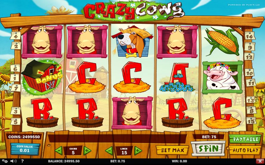 Crazy Cows