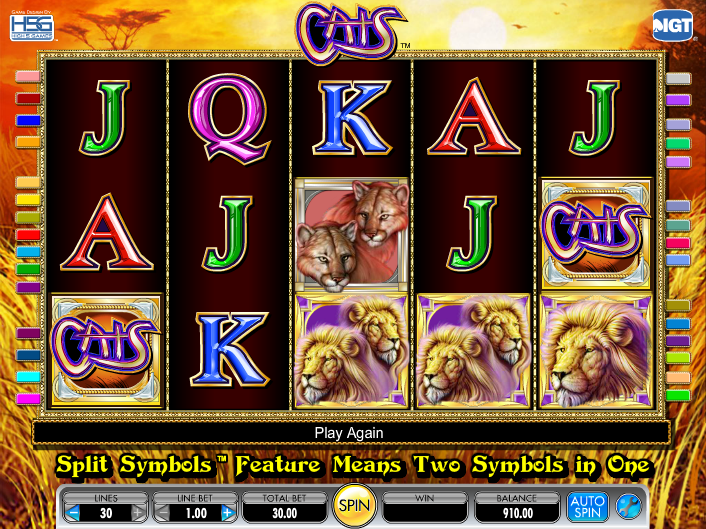 Cats