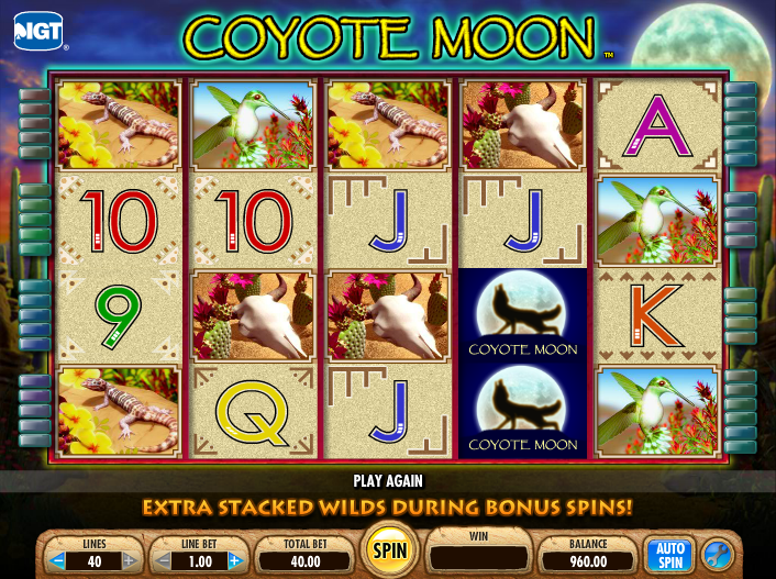 Coyote Moon