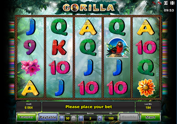 Gorilla