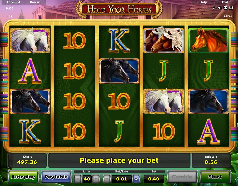 Hold Your Horses