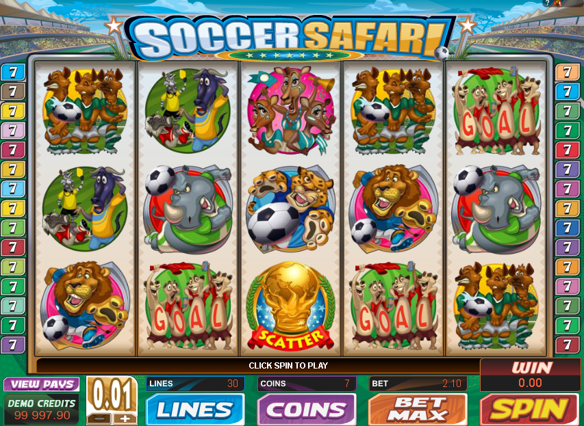 Soccer Safari
