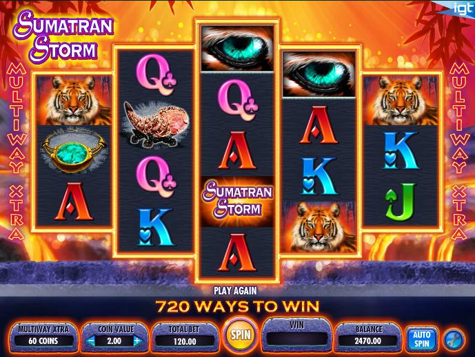 Sumatran Storm