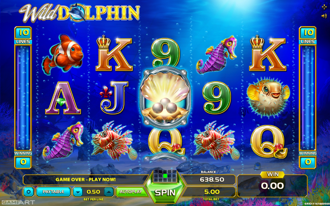 Wild Dolphin