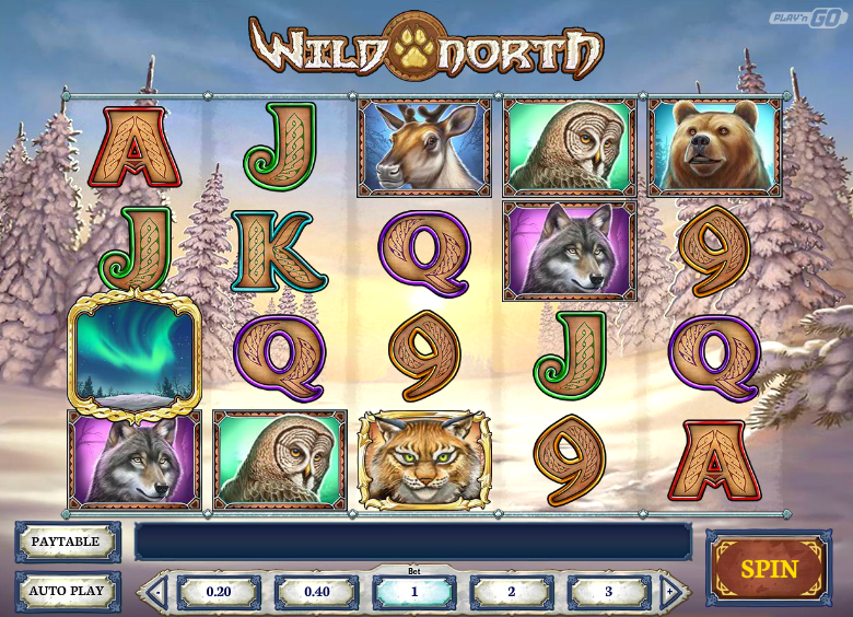Wild North