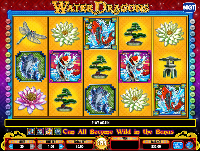 Water Dragons