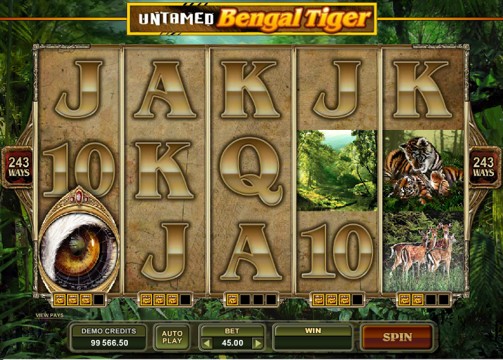 Untamed Bengal Tiger
